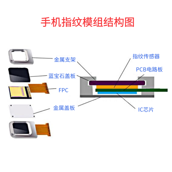 手機指紋模組結構圖